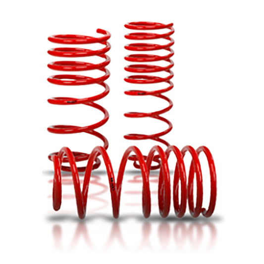 V-Maxx Lowering Springs 35 ZE 01